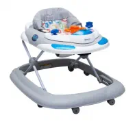 روروئک موزیکال دلیجان