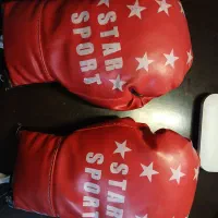 دستکش بوکس STAR SPORT