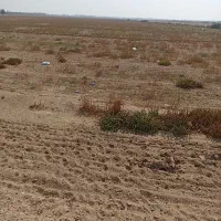 اجاره زمین کشاورزی