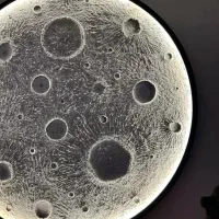 تابلوماه برجسته شده باخمیربتونه وال ای رنگی