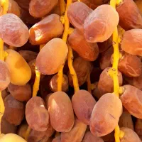 خرما زاهدی،قصب|خوردنی و آشامیدنی|شیراز, تاچارا|دیوار