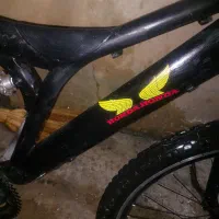 دوچرخه ۲۶|دوچرخه، اسکیت، اسکوتر|گنبد کاووس, |دیوار