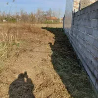 ۳۱۱ متر زمین در گیلان