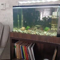 آکواریوم با ماهی و تجهیزات|ماهی|ری, اقدسیه|دیوار