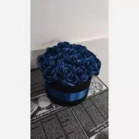 گل های رمانی درهر رنگی