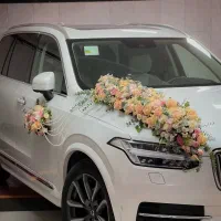 تخفیف ویژه ماشین عروس