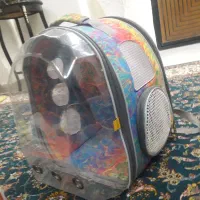 جای سگ و گربه پارک دار