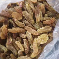 کشمش سبز قلمی کاشمر صادراتی|خوردنی و آشامیدنی|تهران, فاطمی|دیوار