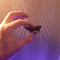 مجسمه زاغ - کلاغ مینی