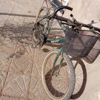 دوچرخه فروشی در نیل شهر|دوچرخه، اسکیت، اسکوتر|بوژگان, |دیوار