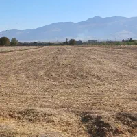 فروش زمین کشاورزی|فروش دفتر صنعتی، کشاورزی، تجاری|شیروان (لرستان), |دیوار