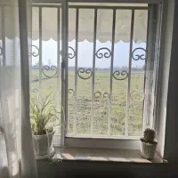 خانه ویلایی و شالیزار ( 20000 متر مربع)|فروش خانه و ویلا|لشت نشا, |دیوار