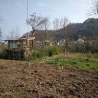 زمین-باغی-داخل-طرح