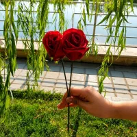 گل روبانی|گل مصنوعی|تهران, استاد معین|دیوار