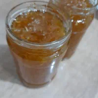 انواع مرباجات