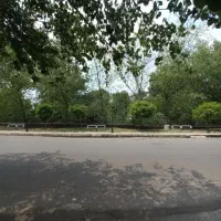 زمین / تجاری / مسکونی / ۸۰۰متری / براصلی گاز