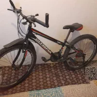 دوچرخه در حد نو
