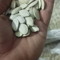 تخمه کدو