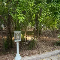 فروش باغ 1000 متری زیبا در دل قصردشت