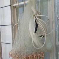 تور ماهیگیری
