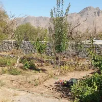 زمین باغ خوش قباره