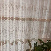 پرده پذیرایی به همراه کتیبه و زیرپرده|پرده، رانر، رومیزی|رشت, شهریاران|دیوار