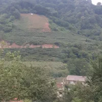 فروش یک قطعه زمین ویلایی لاکچری در آستارا|فروش زمین و ملک کلنگی|لوندویل, |دیوار