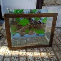 آکواریوم با لوازم