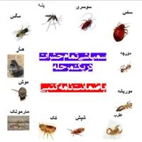 سمپاشی صدردصد‌تضمینی‌سم پاشی‌سوسک‌وساس و...|خدمات نظافت|تهران, آذری|دیوار
