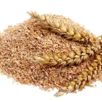 گندم مخصوص استخر ماهی