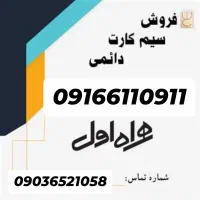 09166110911