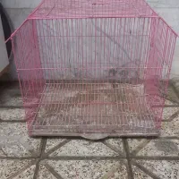 تعداد۳عددقفس سالم بایک آقل پرنده بفروش میرود
