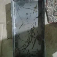 منقل کباب|اجاق گاز و لوازم برقی پخت‌وپز|الیگودرز, |دیوار