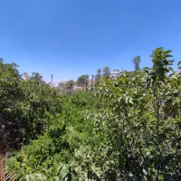 فروش زمین 230 متری پاسدارن /درب حیاط سند ملکی