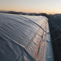 کارگر حرفه ای .گلخانه صنعتی.هستم.ازصفرتاصد