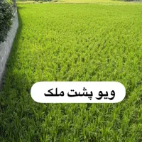 قطعه های ۲۰۰ متری زمین نزدیک تهران ((جنگل هراز ))|فروش زمین و ملک کلنگی|امامزاده عبدالله, |دیوار