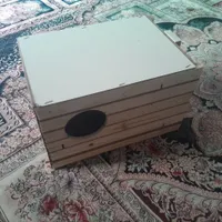 یک جفت عروس هلندی|پرنده|تهران, زمزم|دیوار