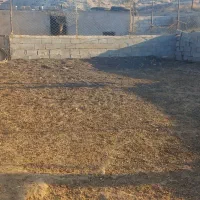 کود گوسفندی درجه یک