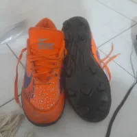 استوک ورزشی