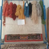 قالی ذرع ونیم دوپود.۱۲۰ رج بافته شده