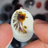 مقداری راف و نگین شجر|جواهرات|کرمان, |دیوار