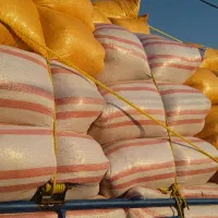 باسلام کاه خوشه گندم سفید وتمیز|عمده‌فروشی|اندیکا, |دیوار