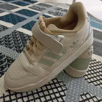 کفش تازه ونو