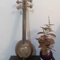 کمانچه پشت باز
