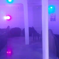 مافیا مافیا مافیا