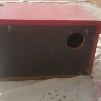 لانه عروس هلندی محکم وبزرگ|لوازم جانبی حیوانات|گرگان, |دیوار