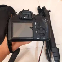 فروش دوربین دیجیتال|دوربین عکاسی و فیلم‌برداری|بندرعباس, |دیوار