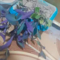 گل طبیعی با گلدان|گل و گیاه طبیعی|دهدشت, |دیوار