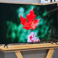 تلویزیون QNED