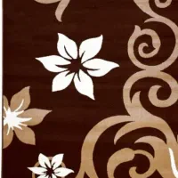 دو عدد فرش ۱۲ متری